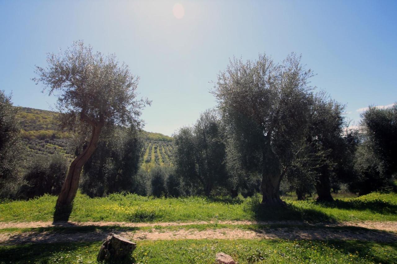 Masseria Procacci إسكيتيلا المظهر الخارجي الصورة