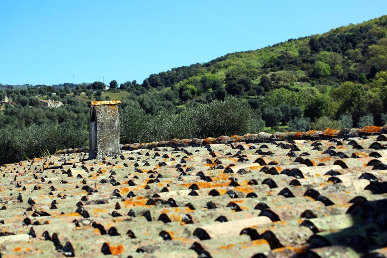 Masseria Procacci إسكيتيلا المظهر الخارجي الصورة