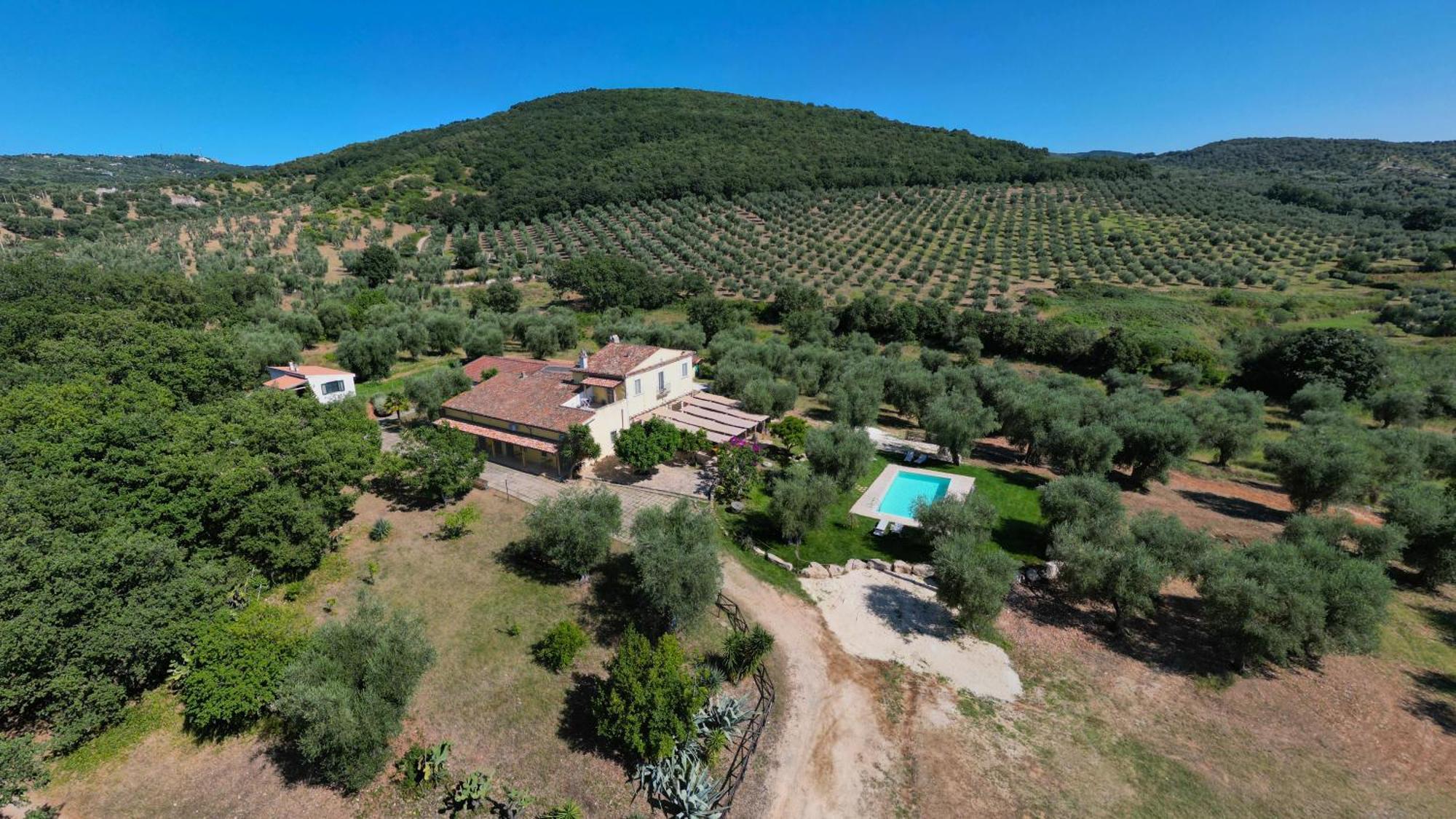 Masseria Procacci إسكيتيلا المظهر الخارجي الصورة