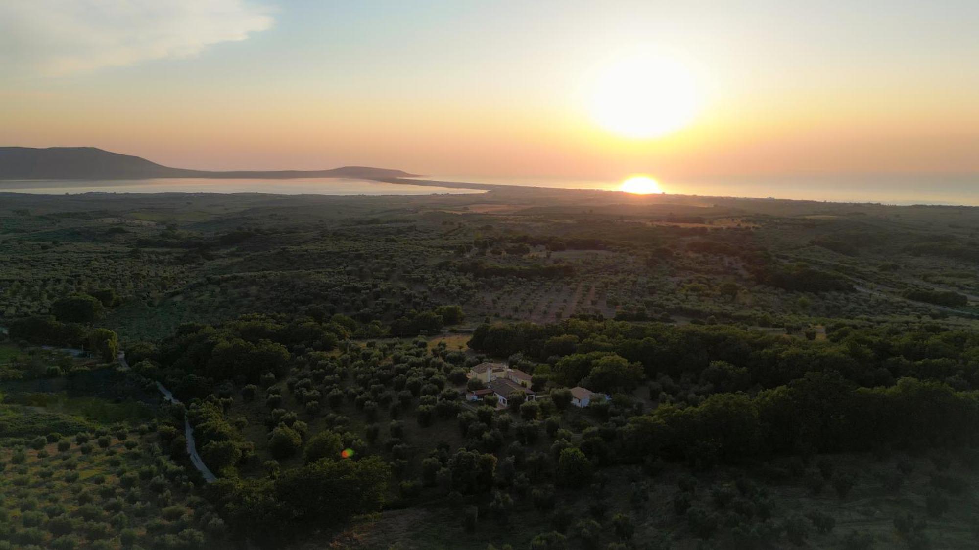Masseria Procacci إسكيتيلا المظهر الخارجي الصورة