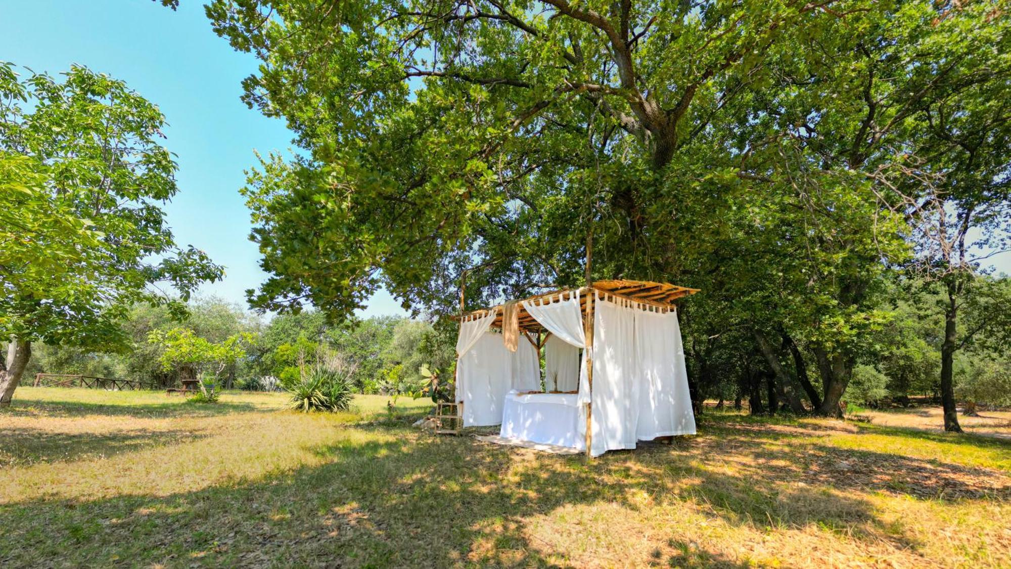 Masseria Procacci إسكيتيلا المظهر الخارجي الصورة
